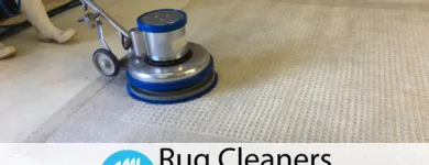 Business 3 image RUG CLEANERS FT LAUDERDALE Carpet & Rug Cleaners in Fort Lauderdale FL