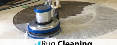 Business 5 image RUG CLEANING MIAMI BEACH PROS Carpet & Rug Cleaners in Miami Beach FL