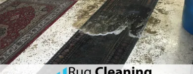 Business 6 image RUG CLEANING MIAMI BEACH PROS Carpet & Rug Cleaners in Miami Beach FL