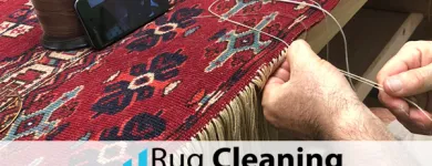 Business 7 image RUG CLEANING MIAMI BEACH PROS Carpet & Rug Cleaners in Miami Beach FL