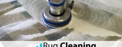 Business 9 image RUG CLEANING MIAMI BEACH PROS Carpet & Rug Cleaners in Miami Beach FL