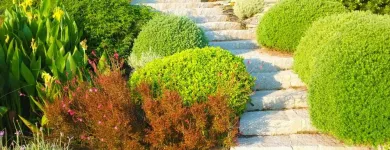 Business 5 image SERENITY LAWN CARE Snow Removal Service in Wheat Ridge CO