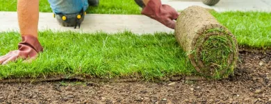 Business 7 image SERENITY LAWN CARE Snow Removal Service in Wheat Ridge CO