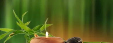 Business 6 image SILK SPA in Fort Lauderdale FL