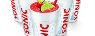 Business 3 image SONIC DRIVE-IN Take Out Restaurants in Winter Haven FL