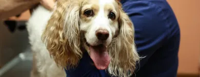 Business 2 image SOUTH KENDALL ANIMAL HOSPITAL Veterinary Pharmacy in Miami FL