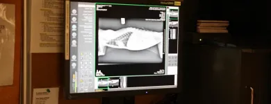 Business 6 image SOUTH KENDALL ANIMAL HOSPITAL Veterinary Pharmacy in Miami FL