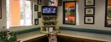 Business 8 image SOUTH KENDALL ANIMAL HOSPITAL Veterinary Pharmacy in Miami FL