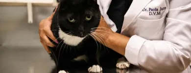 Business 10 image SOUTH KENDALL ANIMAL HOSPITAL Veterinary Pharmacy in Miami FL