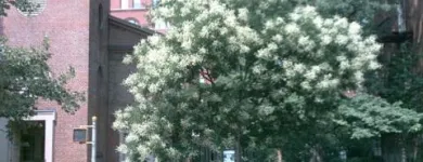 Business 3 image ST LUKE'S SCHOOL Middle Schools in New York NY