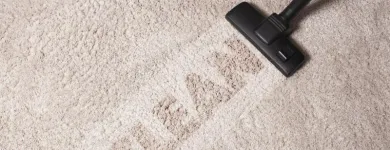 Business 4 image TAMPA CARPET CLEANING Carpet & Upholstery Cleaning in Tampa FL