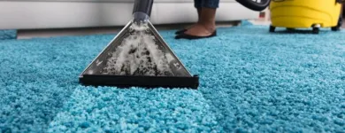 Business 5 image TAMPA CARPET CLEANING Carpet & Upholstery Cleaning in Tampa FL