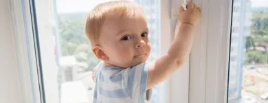 Business 2 image TAMPA IMPACT WINDOWS in Tampa FL