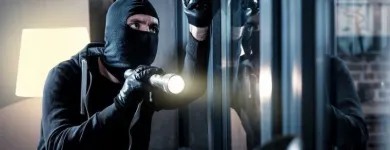 Business 12 image TAMPA IMPACT WINDOWS in Tampa FL