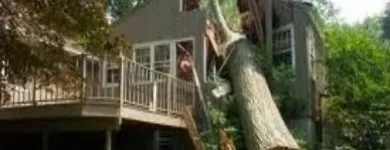Business 4 image TAMPA TREE SERVICE Tree Trimming Service in Tampa FL