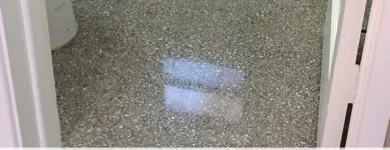 Business 5 image TERRAZZO RESTORATION SERVICE FORT LAUDERDALE Flooring Contractors in Fort Lauderdale FL