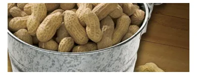 Business 1 image TEXAS ROADHOUSE Steak Houses in Ocoee FL