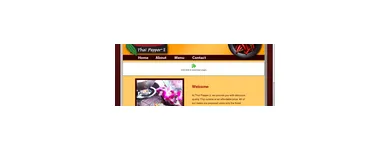 Business 2 image THAI PEPPER Thai Restaurants in Denver CO