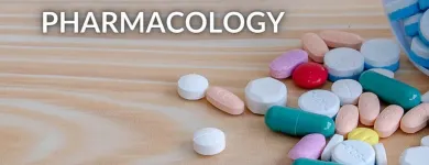 Business 2 image THE NURSE SPEAK Nursing Schools in New York City NY