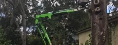 Business 2 image TREE BOSS in Tampa FL