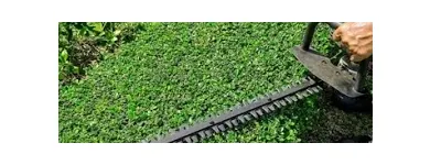 Business 2 image TREE SERVICE CUTTING & REMOVAL Tree Service in New York NY