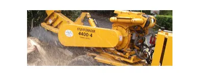 Business 5 image TREE SERVICE CUTTING & REMOVAL Tree Service in New York NY