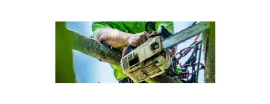 Business 1 image TREE SERVICE CUTTING & REMOVAL Tree Service in New York NY