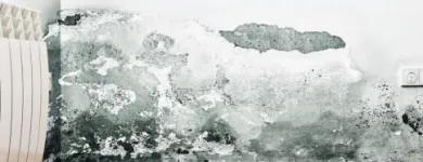 Business 4 image USA CONSTRUCTION & MOLD REMEDIATION SERVICE, LLC Water Damage Restoration in Tampa FL