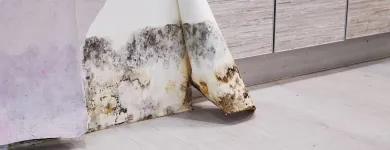 Business 14 image USA CONSTRUCTION & MOLD REMEDIATION SERVICE, LLC Water Damage Restoration in Tampa FL