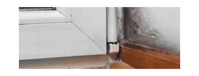 Business 23 image USA CONSTRUCTION & MOLD REMEDIATION SERVICE, LLC Water Damage Restoration in Tampa FL