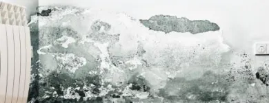 Business 25 image USA CONSTRUCTION & MOLD REMEDIATION SERVICE, LLC Water Damage Restoration in Tampa FL