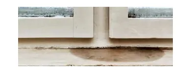 Business 28 image USA CONSTRUCTION & MOLD REMEDIATION SERVICE, LLC Water Damage Restoration in Tampa FL