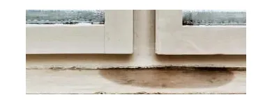 Business 29 image USA CONSTRUCTION & MOLD REMEDIATION SERVICE, LLC Water Damage Restoration in Tampa FL