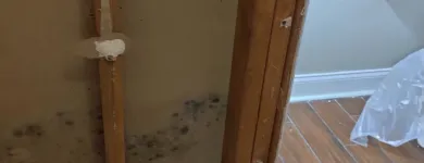 Business 32 image USA CONSTRUCTION & MOLD REMEDIATION SERVICE, LLC Water Damage Restoration in Tampa FL