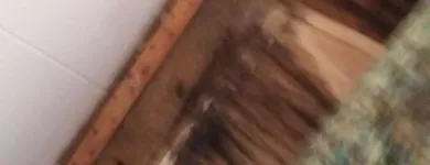 Business 36 image USA CONSTRUCTION & MOLD REMEDIATION SERVICE, LLC Water Damage Restoration in Tampa FL