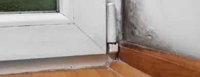 Business 38 image USA CONSTRUCTION & MOLD REMEDIATION SERVICE, LLC Water Damage Restoration in Tampa FL