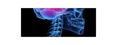 Business 4 image USA HEALTH & PHYSICAL THERAPY Sports Medicine in Oakland Park FL