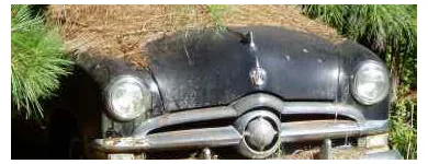 Business 4 image WE BUY JUNK CARS CORAL GABLES Junk Dealers in Coral Gables FL