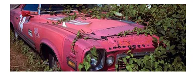 Business 6 image WE BUY JUNK CARS CORAL GABLES Junk Dealers in Coral Gables FL