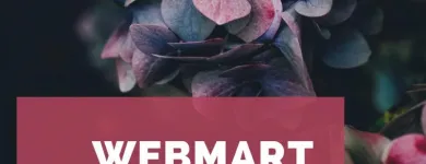 Business 2 image WEBMART Web Site Design & Services in S San Francisco CA