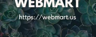 Business 3 image WEBMART Web Site Design & Services in S San Francisco CA