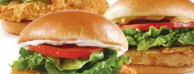 Business 4 image WENDY'S Breakfast Restaurants in Grand Island NY