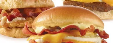 Business 6 image WENDY'S Restaurants in Carbondale IL