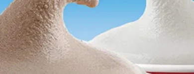 Business 12 image WENDY'S Wendy's in Tampa FL