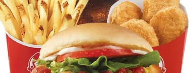 Business 1 image WENDY'S What's new at wendy's in Tampa FL