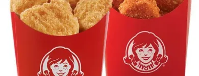 Business 12 image WENDY'S What's new at wendy's in Tampa FL