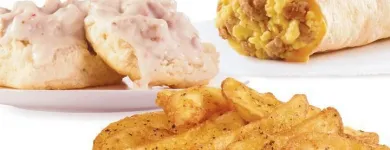 Business 13 image WENDY'S Wendy's in Tampa FL