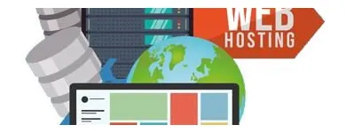Business 5 image WHITE RABBIT MARKETING Web Design & Development in Fort Lauderdale FL