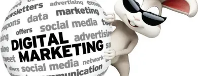 Business 11 image WHITE RABBIT MARKETING Web Design & Development in Fort Lauderdale FL