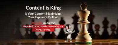 Business 21 image WHITE RABBIT MARKETING Web Design & Development in Fort Lauderdale FL